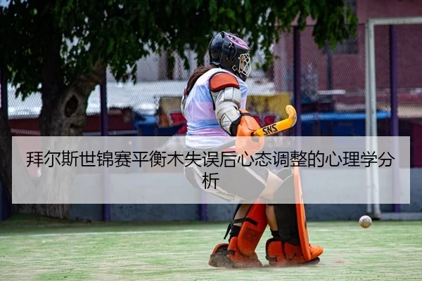 bai-er-si-shi-jin-sai-ping-heng-mu-shi-wu-hou-xin-tai-tiao-zheng-de-xin-li-xue-fen-xi-2-666.jpg