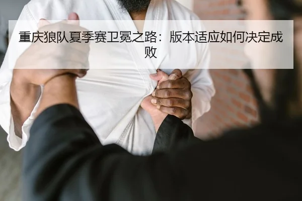 chong-qing-lang-dui-xia-ji-sai-wei-mian-zhi-lu-ban-ben-shi-ying-ru-he-jue-ding-cheng-bai-2-321.jpg